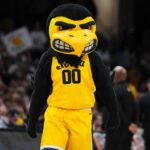 01j864x1evwt17k5why8