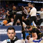 FB_IMG_17742753364357054