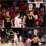 FB_IMG_17747872419817827