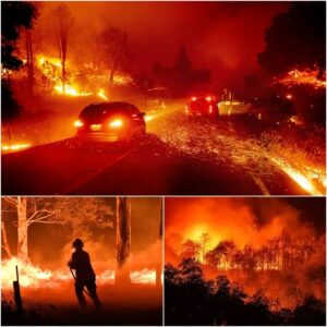 FB_IMG_17771666956582864