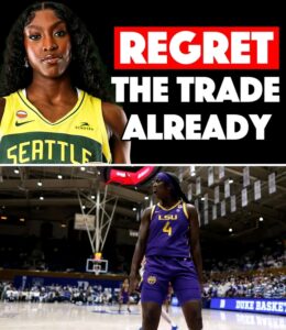 FB_IMG_17773789346743497