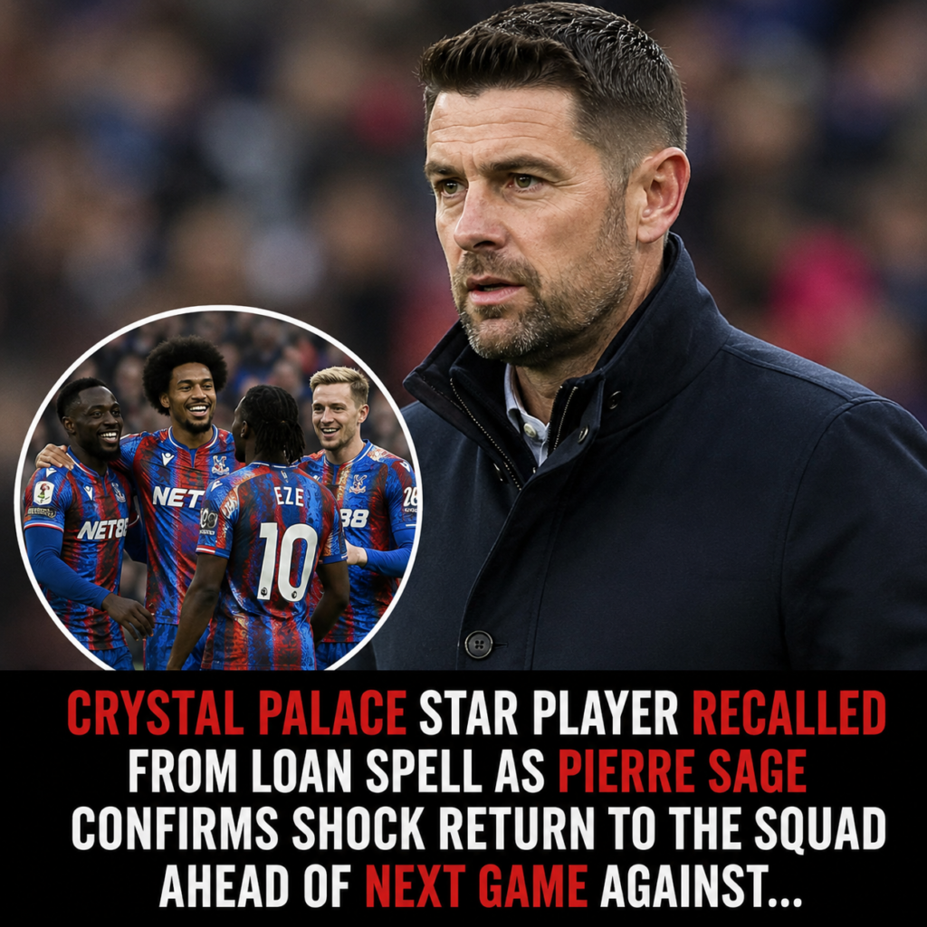 Crystal Palace have entered the new season with plenty to prove